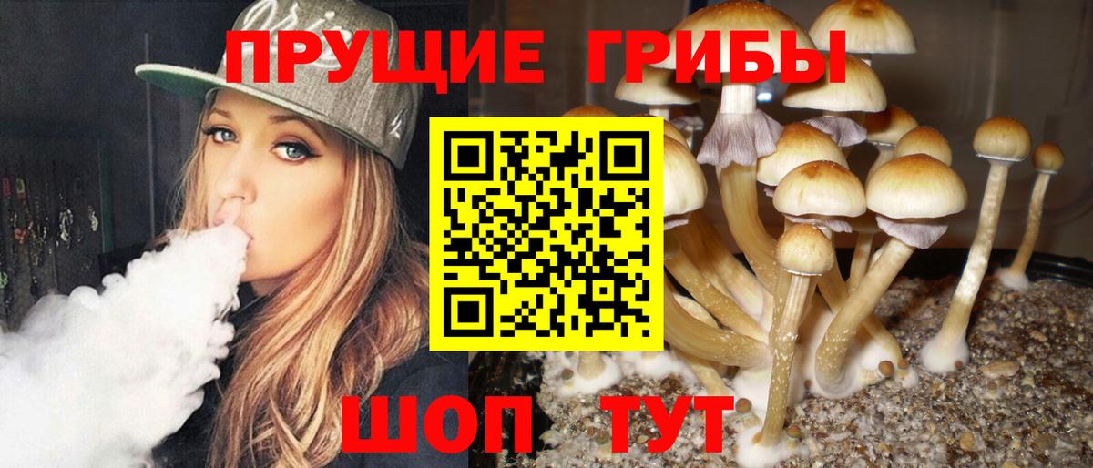 Галлюциногенные грибы прущие грибы Сосновый Бор