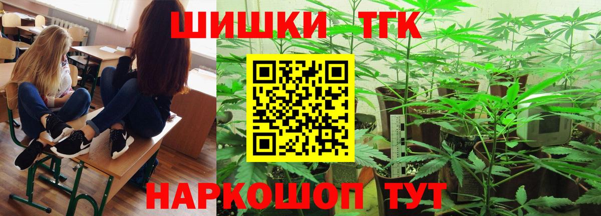 Сосновый Бор  Бошки марихуана сатива  Вход с VPN  МАРИХУАНА White Widow 